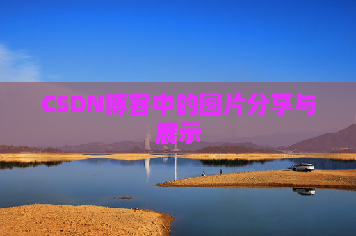 CSDN博客中的图片分享与展示